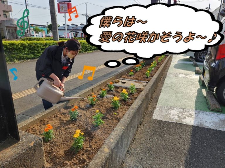 花びらの様に散りゆく中で…