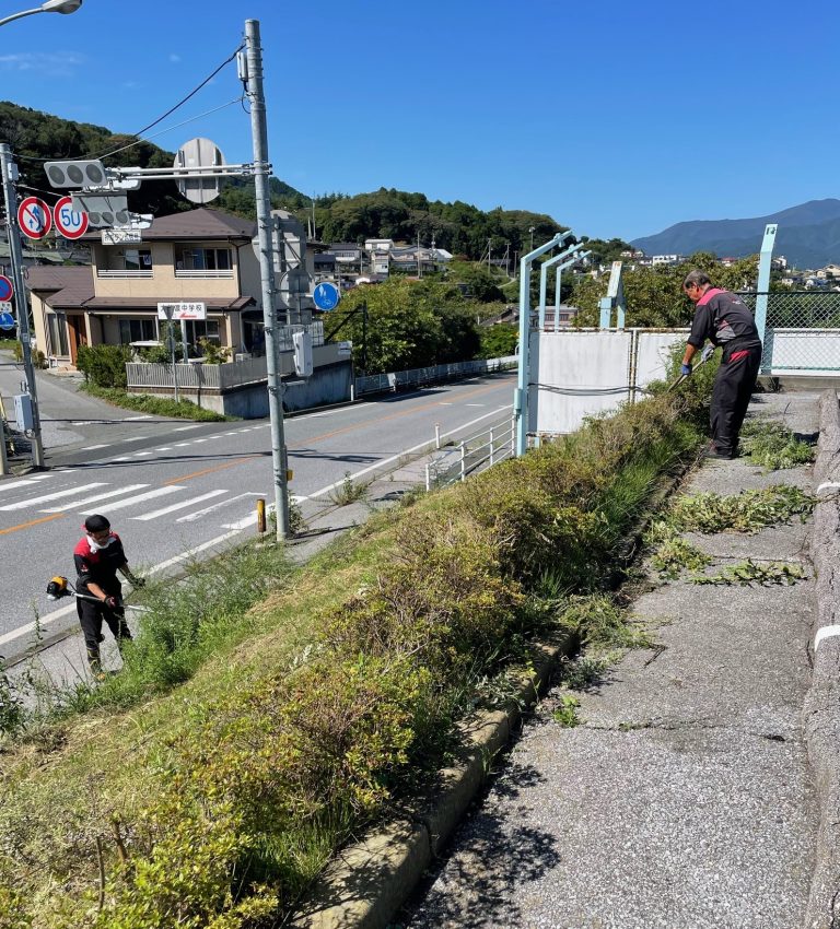 草刈り🍃